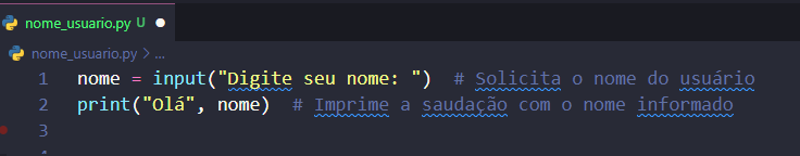 Código input no Python